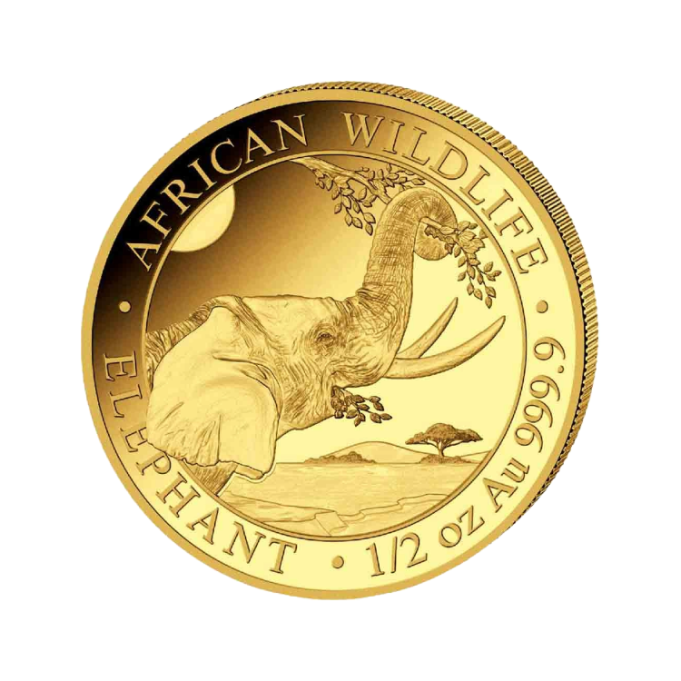 1/2 troy ounce goud Somalische Olifant munt