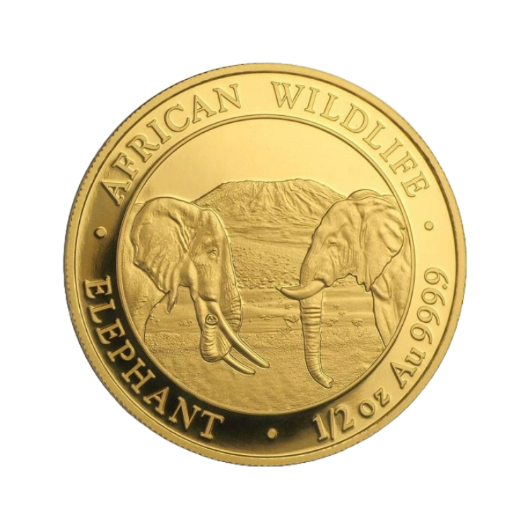 1/2 troy ounce goud Somalische Olifant munt