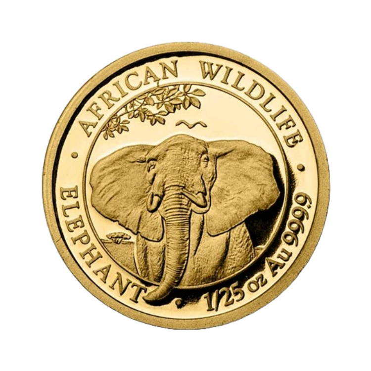 1/25 Troy ounce gouden munt Somalische Olifant