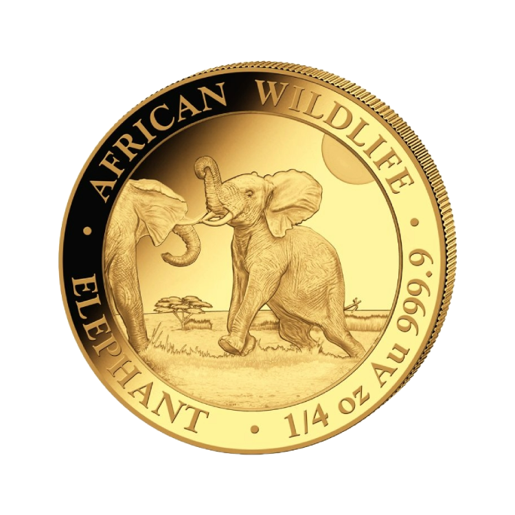 1/4 troy ounce goud Somalische Olifant munt