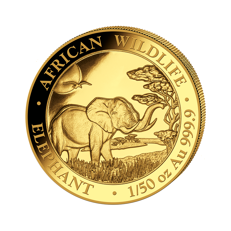 1/50 Troy ounce gouden munt Somalische Olifant