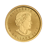 1/4 troy ounce gouden Maple Leaf munt - foto 2 - voorbeeld