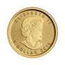1/20 troy ounce gouden Maple Leaf munt - foto 2 - voorbeeld