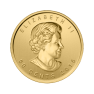 1 gram gouden Maple Leaf munt - foto 2 - voorbeeld