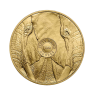 1 troy ounce gouden Big Five munt - foto 1 - voorbeeld