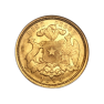 Gouden 10 Pesos Chili 1895 - foto 2 - voorbeeld