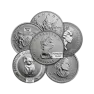 1/2 troy ounce platina munt - foto 1 - voorbeeld