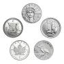 1/10 troy ounce platina munt - foto 1 - voorbeeld