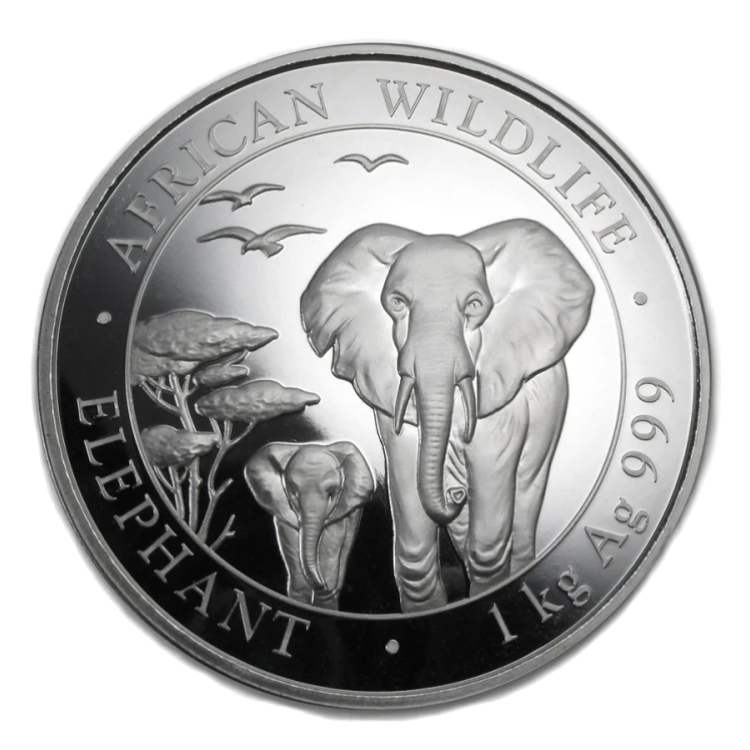 1 kilo zilveren Somalische Olifant munt