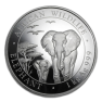 1 kilo zilveren Somalische Olifant munt