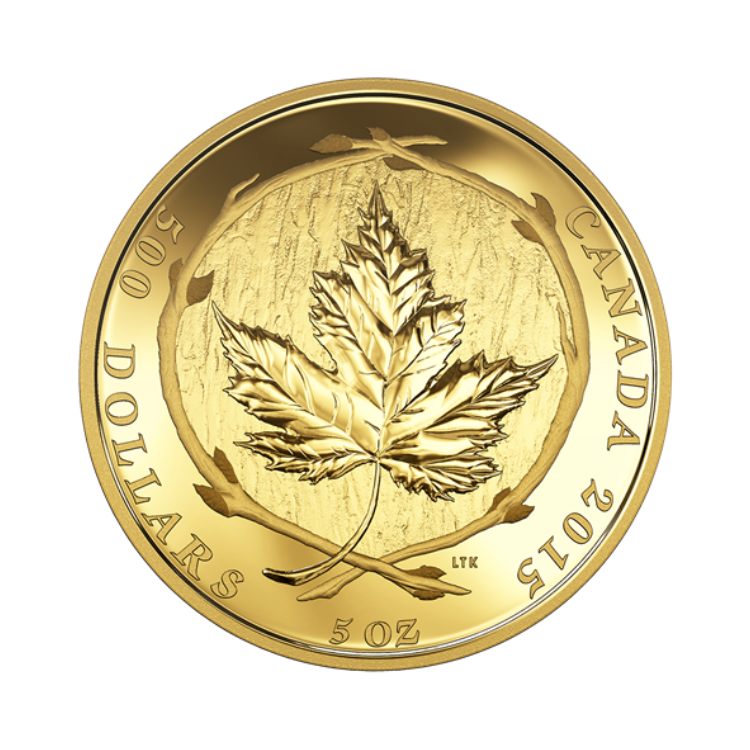 5 troy ounce gouden munt diverse producenten