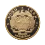Gouden 1 Pond munt uit Zuid-Afrika