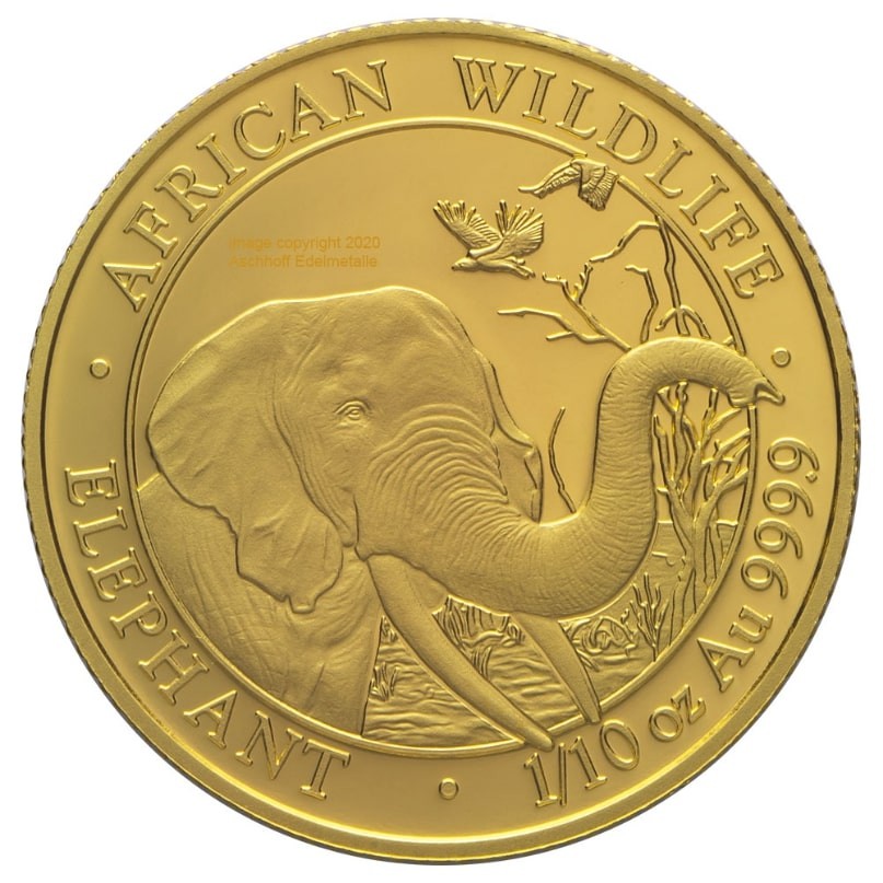 1/10 Troy ounce gouden munt Somalische Olifant